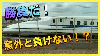 【いい勝負！】手加減してる東海道新幹線N700系と本気の湘南新宿ラインE231系1000番台が勝負‼️