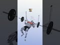 Bench Press Barbell تمرين الضغط بالبار بنش بريس بار مستوي Bench Press Barbell تمرين الضغط بالبار بنش بريس بار مستوي