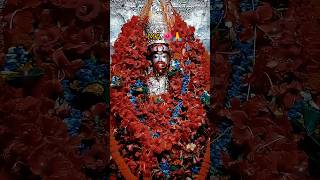 JOY MA TARA ..🌺🙏|| #viral #short