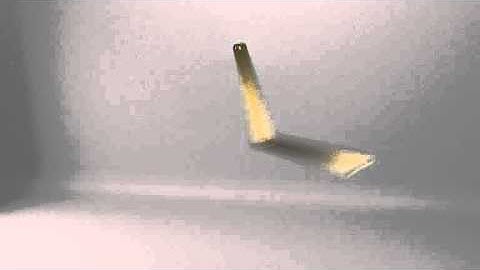 Quick Double Pendulum Test