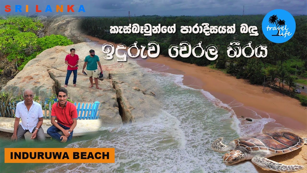 Induruwa Beach & Turtle Conservation Project | ඉඳුරුව වෙරළ තීරය හා කැස්බෑ සංරක්ෂණ ව්‍යාපෘතිය
