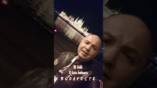 Dj Sebi  O Fata Hoinara La Budapesta  djsebi