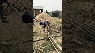 চযন পদধতত বশ ফটচছ