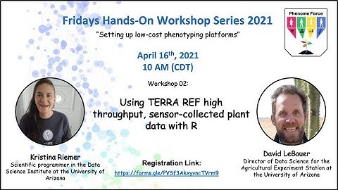 Fridays Hands-On 0.2: Using TERRA REF high throughput, sensor-collected plant data with R