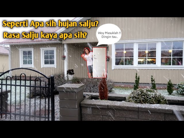 SUASANA RUMAH DIKALA BERSALJU || Rumah mpo ika dari kayu bukan Seng/kontainer