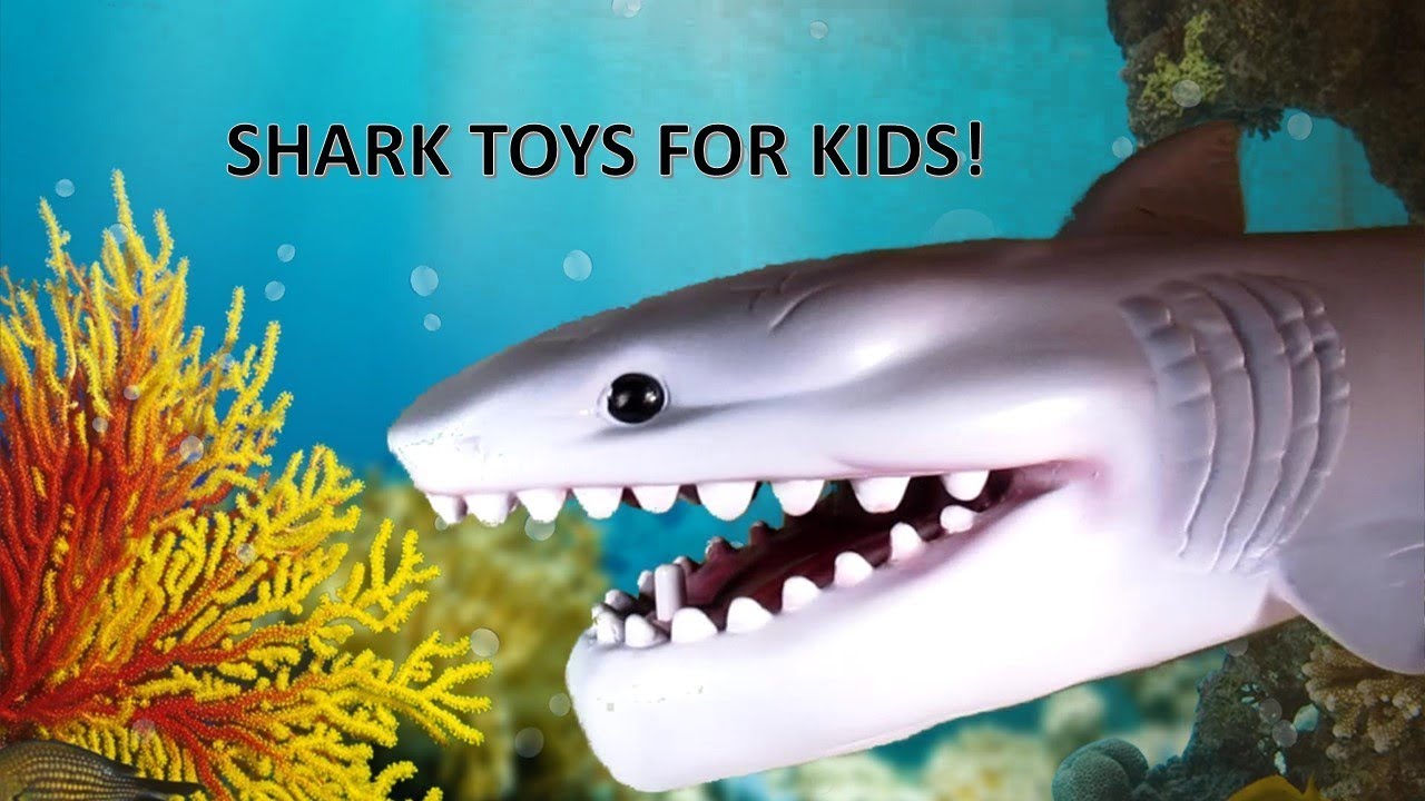 Акула для детей. Акула сета. Игрушка "акула". Shark return