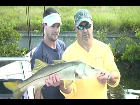 Catch the Buzz (Ep. 2, 2009) The Snook Foundation