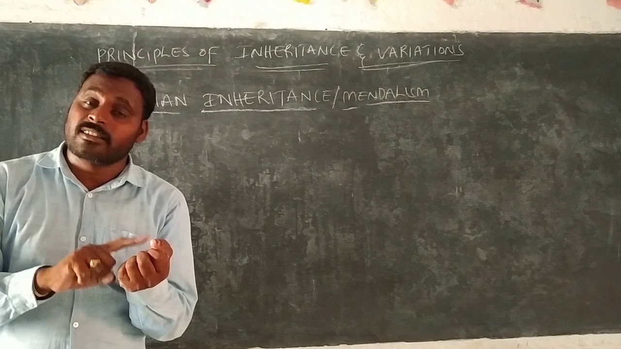 Principales Of Inheritance Part 2 - YouTube