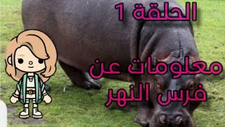 الحلقه1 من سلسلة هل تعلم مع سمسمه عن فرس النهر😄😄