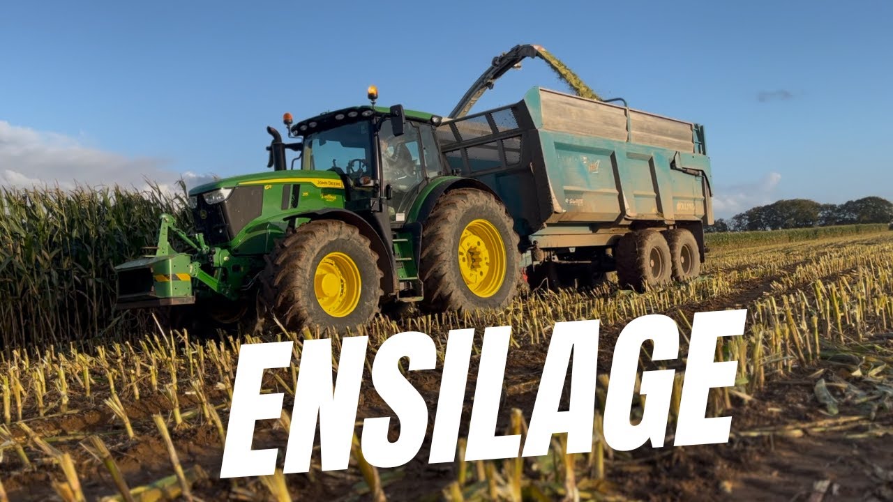 Video Ensilage Mais 2024