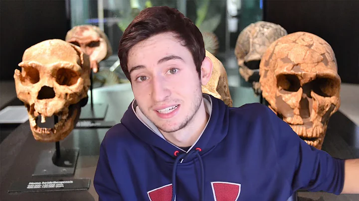 300,000 year old Moroccan Human Fossils (oldest yet)