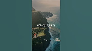 إِنَّ السَّاعَةَ آتِيَةٌ أَكَادُ أُخْفِيهَا || سورة طه || علي جابر