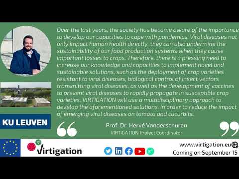 Meet the VIRTIGATION team: Hervé Vanderschuren, project coordinator, KU Leuven university (Belgium) Meet the VIRTIGATION team: Hervé Vanderschuren, project coordinator, KU Leuven university (Belgium)