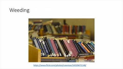 Collection Development & Maintenance Video