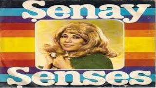 Şenay Şenses - Yari̇m Almanyayi Mesken Mi̇ Tuttu