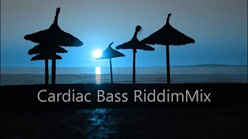 Cardiac Bass Riddim Mix 2012+tracks in the description