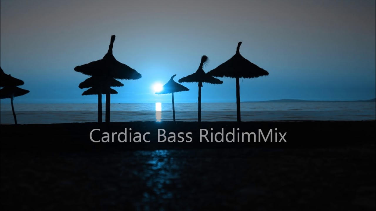 Cardiac Bass Riddim Mix 2012+tracks in the description