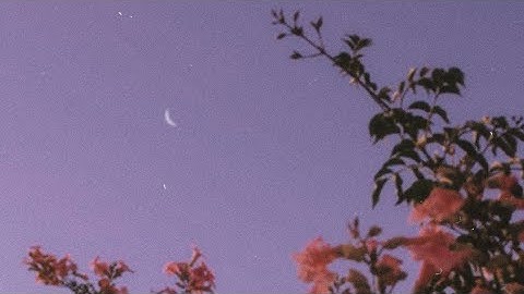 Thumbnail of THE MOON SONG - Chloe Moriondo | sub. Español.