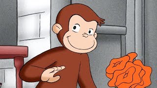 Curious George 402 | Gnocchi The Critic | Full Episode | HD | Cartoons For Children