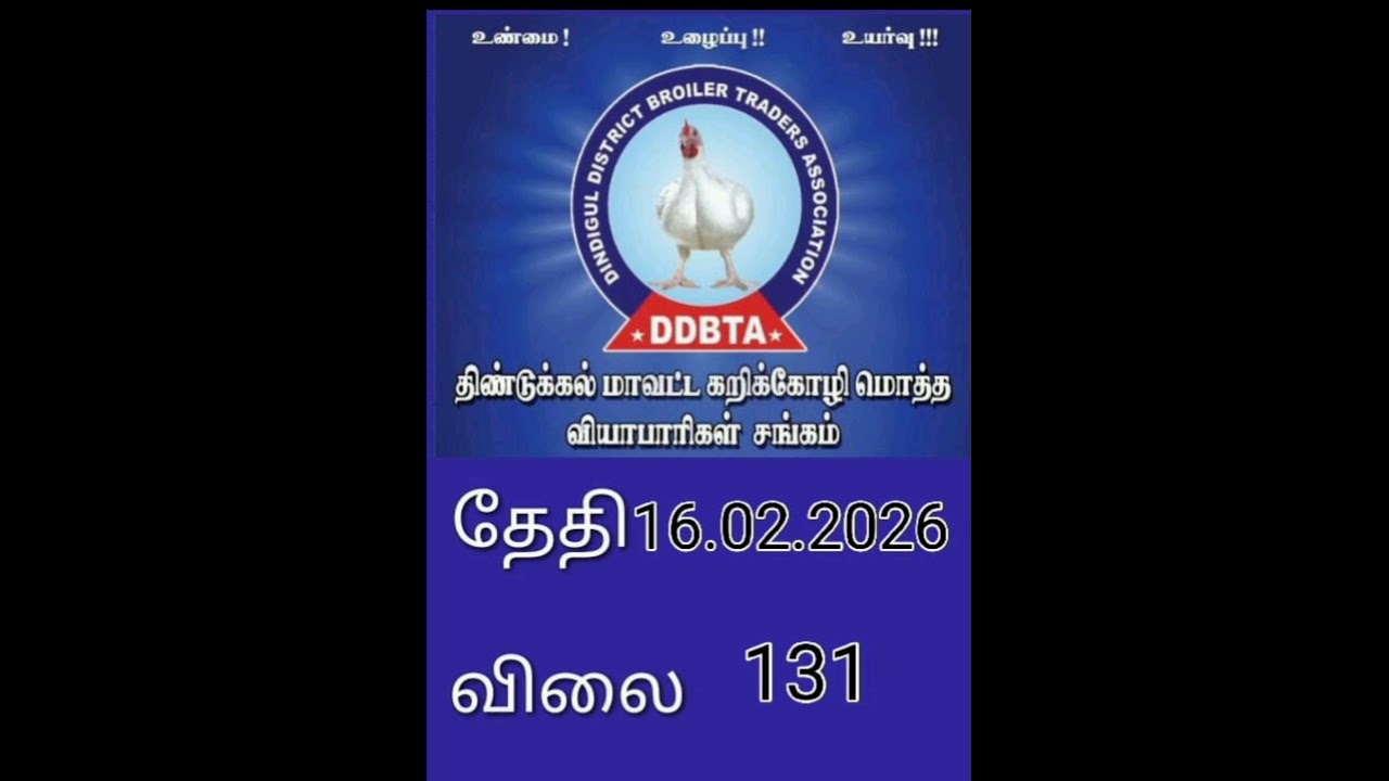 dindigul chicken rate | today chicken rate