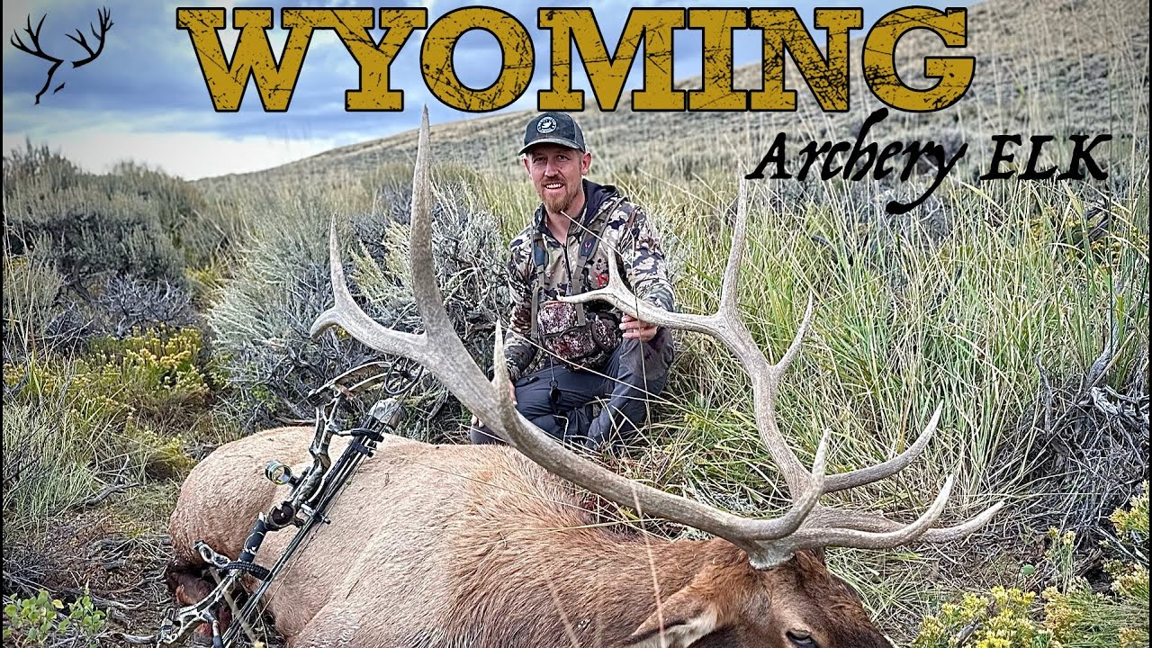 WYOMING Archery ELK hunt 2023 YouTube