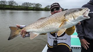 Our adventure this week takes viewers to freeport, texas in search of
shallow inshore redfish, plus we feature info about the little-known
offshore fishery a...