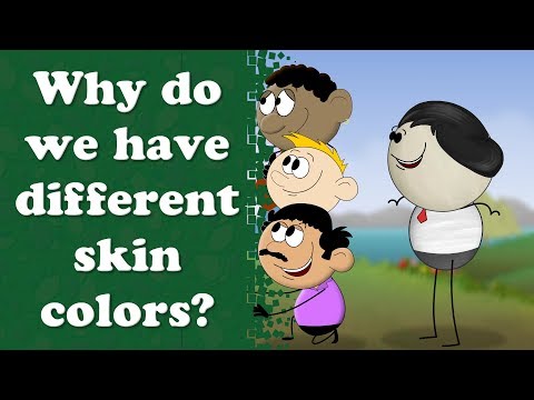 Why do we have different skin colors? | #aumsum #kids #science #education #children