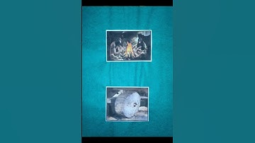 ASSIGNMENT SUBMISSION(Nature and History of Science) Course-1.1.5 B.Ed 1st Semester #practicum