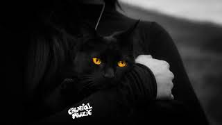 Download Lagu TroyBoi - Casper MP3