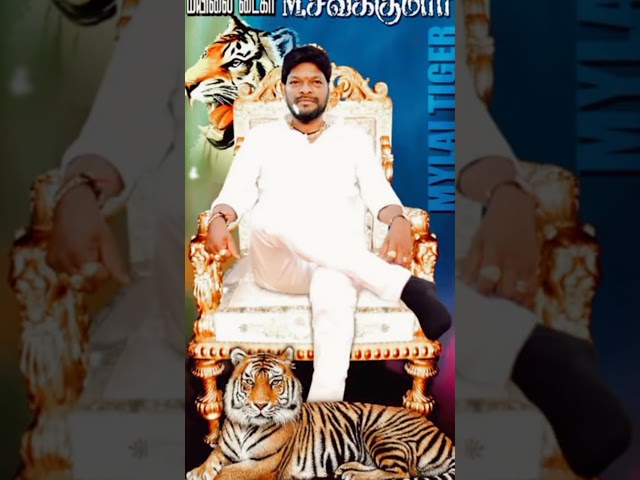 Mylapore siva Kumar anna ⚔️🗡️🔥💯 tiger 🐯🐅 G mylai Singam da anga anna🐯🐅⚔️🗡️ class=