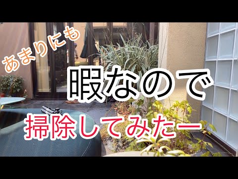 ヒロミ 松本伊代の髪を切る 大反響 ナリクリ