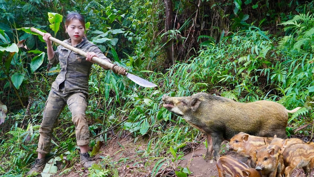 traces of wild boars, digging pits to trap piglets to raise, survival alone