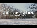 A minute of winter at colorado state 