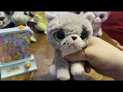 The Beanie Boos Show: N'SOAFT - Everyone Playing with the Ocean Adventure Fidget Toy