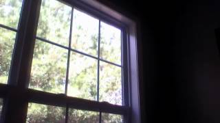 Capture 20121005