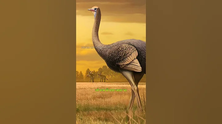 सहदूल नाम का पक्षी हाथी को भी अपने पंजे में दबा कर ले उड़ता था #shorts