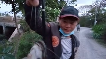 Điểm câu mới cống Bà Mèo Tân Điền lên trê đồng cực phê.😤câu là có kỳ 9🤯.#tuannguyen.#cauca.#gocong