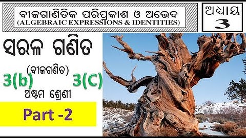 Class 8 Algebra chapter 3 (Bijaganitika Pariprakash O Abheda) Part 2