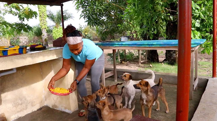 FEEDING 8 DOGS IN LIBERIA | WATCH HOW I PREPARE TH...