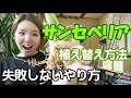 サンセベリア 植え替え方法 失敗しないやり方 管理方法【おうちでガーデニング】開花園チャンネル
