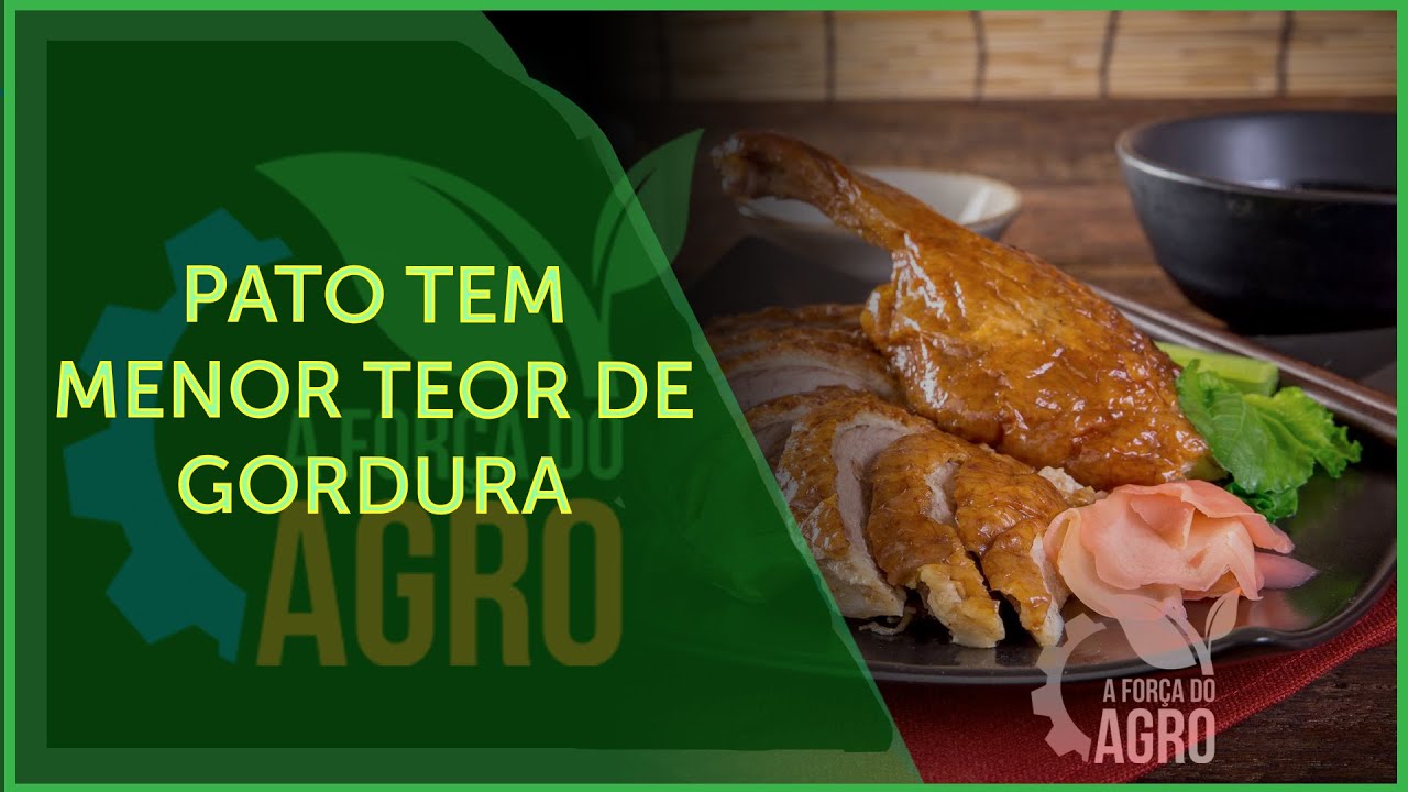 Carne de pato é mais consumida nas festas de fim de ano