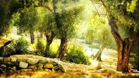 القارئ سعيد باعامر فجرية ٢٢ جمادي الأول ١٤٣٧هـ