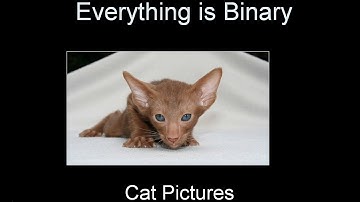 What is Binary Data? by Thingy Animations - Microsoft Office Powerpoint