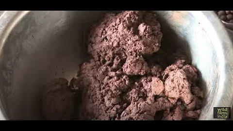 So much for Health. Cow urine tablets - considered holy and safe to use!