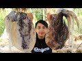 Yummy cooking Giant Squid recipe  - Cooking skill