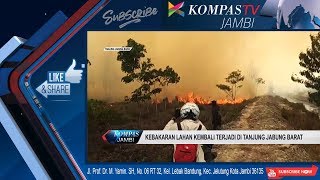 KEBAKARAN LAHAN KEMBALI TERJADI DI TANJUNG JABUNG BARAT