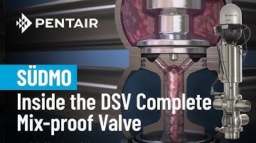 Pentair Südmo Double Seat Valves | Function, Features & Benefits