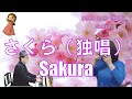 P096. 『さくら（独唱）』 ”Sakura” 複音ハーモニカ Performed by 柳川優子 Yuko Yanagawa Tremolo Harmonica 1000