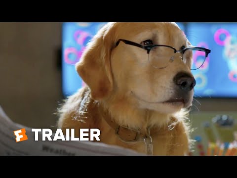 Cats Dogs 3 Paws Unite Trailer 1 2020 Fandango Family Youtube
