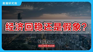 经济回稳还是假象？   #关税战 #中美博弈 #财新 #PMI #宏观 #经济 #外贸